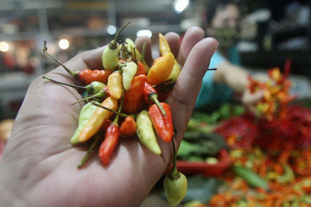 Harga Cabai Lagi Turun...