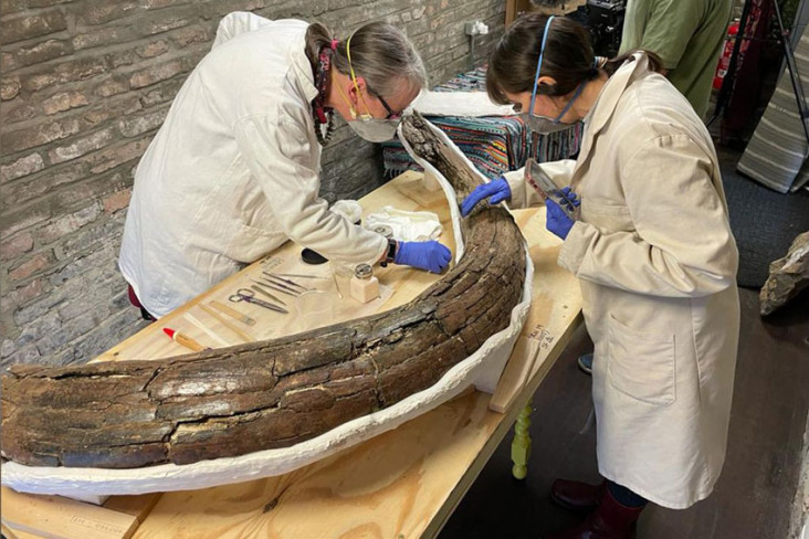 5 Kuburan Mammoth Berusia...