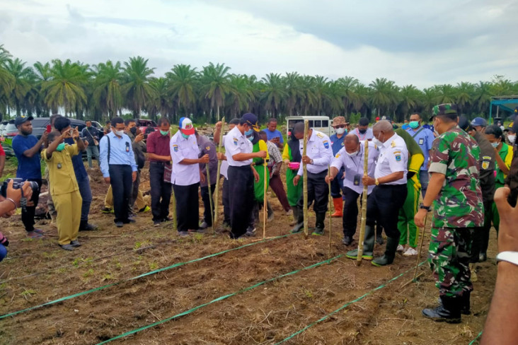 Cetak Petani Milenial,...