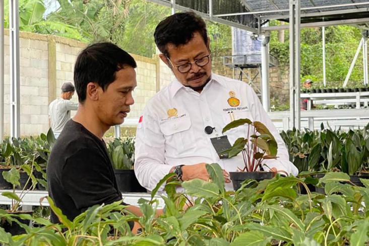 Mampir di Kota Bogor,...