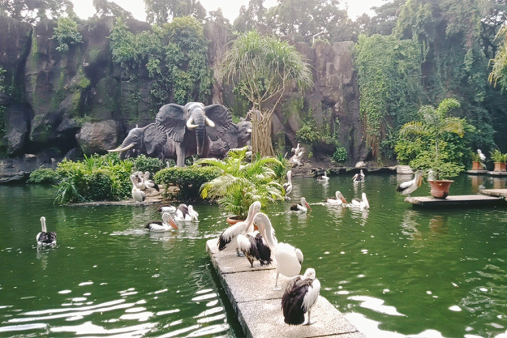 17 Ribu Pengunjung Serbu...