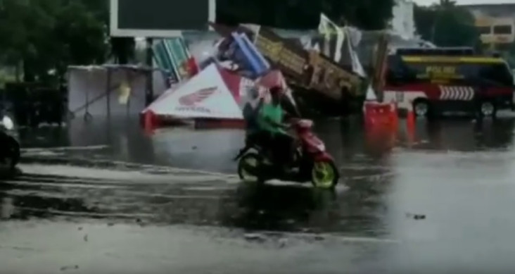 Pohon Tumbang Timpa...