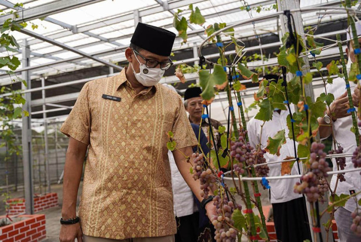 Digitalisasi Pesantren,...