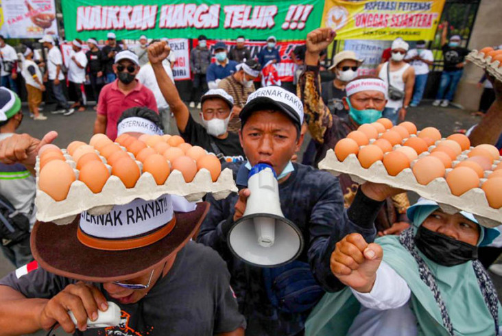 Harga Telur Ayam Hari...