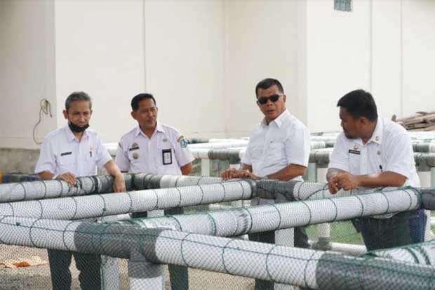 Kelompok Tani di Bulukumba...