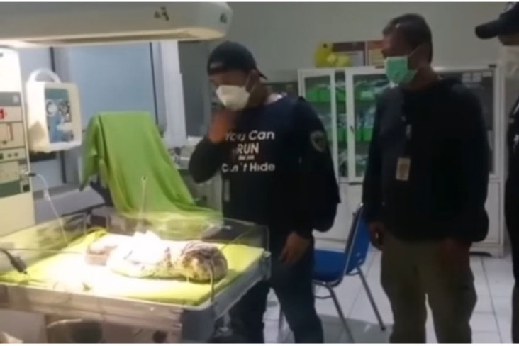 Bayi Perempuan Masih...