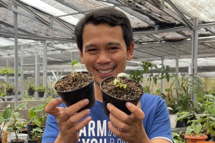 Awali Era Industri Tanaman...