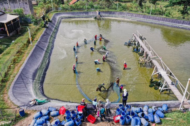 Startup Delos Dorong...