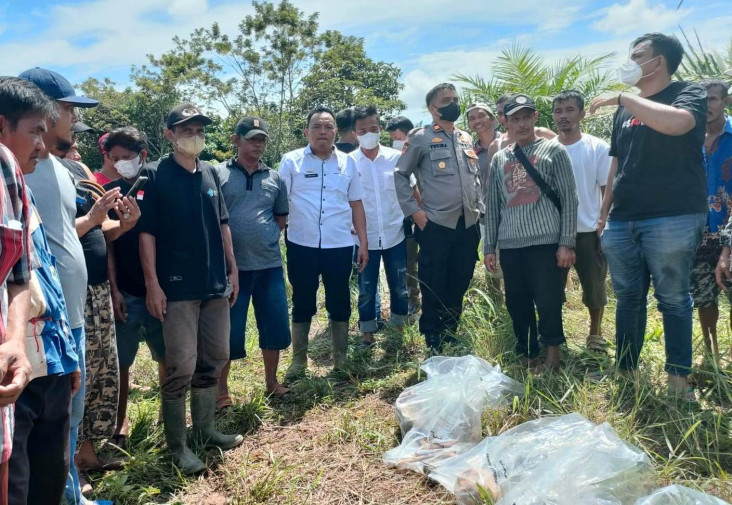Tengkorak dan Tulang...