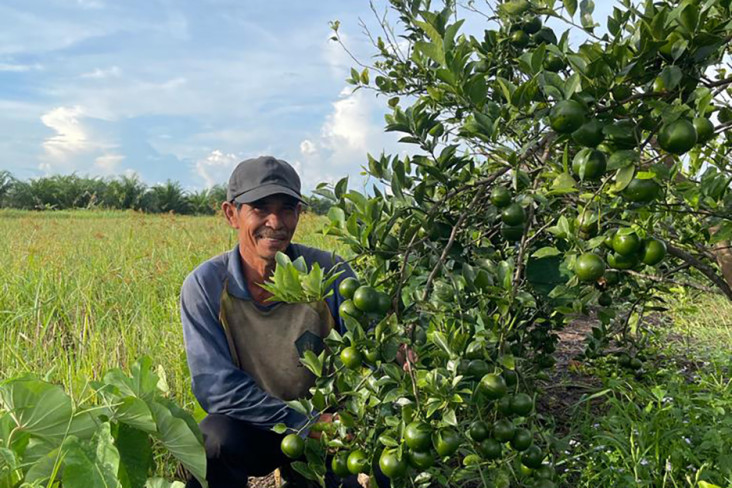800 Petani di Kalimantan...