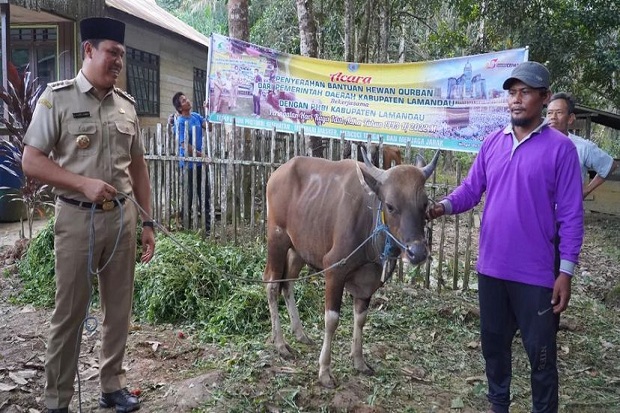 Bupati Lamandau Hendra...