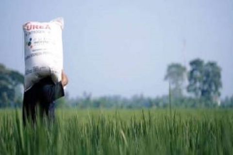 Mudahkan Petani, Digitalisasi...