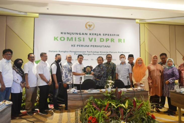 DPR Tanya Merger 8 Anak...