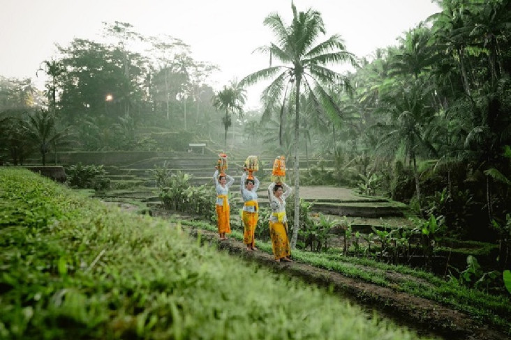 Pariwisata Bali Kembali...