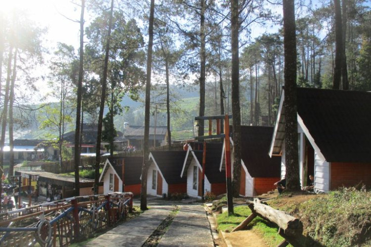 Pulang Kampung, Agrowisata...