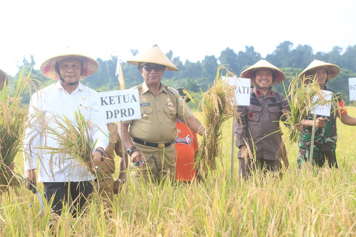 Bupati Halmahera Tengah...