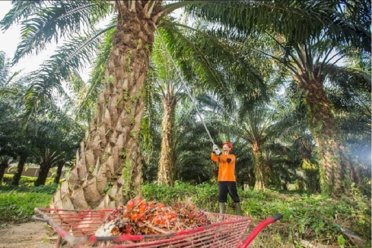 Raih Laba Rp5,51 Triliun,...