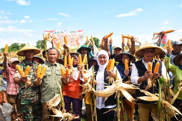 Jatim Pertahankan Kenaikan...