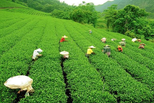 Berdayakan Ratusan Petani...