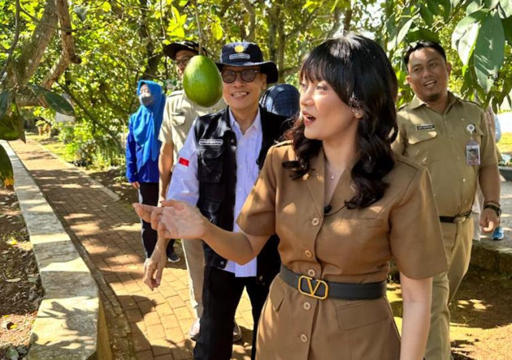 Ikuti Perkembangan Petani...