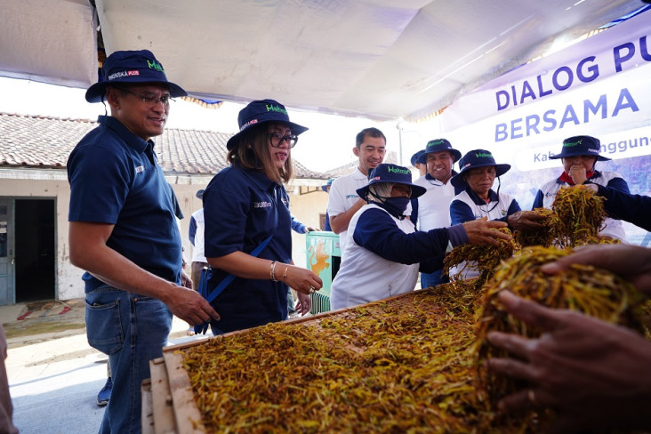 Petani Tembakau Bisa...