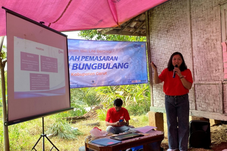 Kolaborasi Mengembangkan...