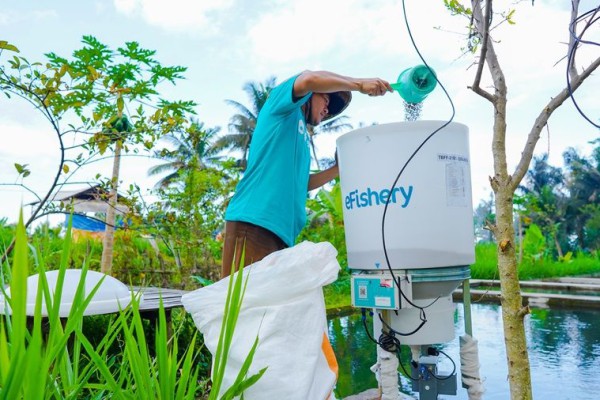 KoinWorks dan eFishery...