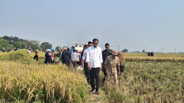Peluang dan Tantangan...