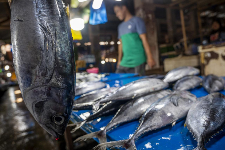 Dukung Pemanfaatan Ikan...