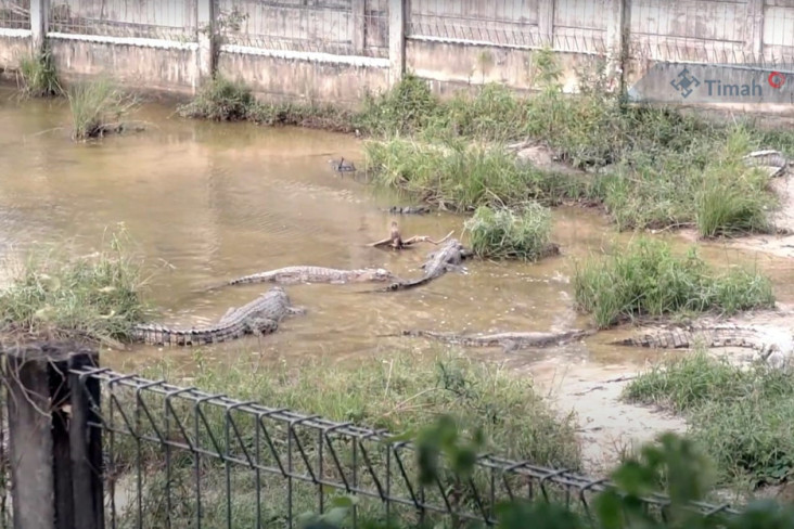 Peringatan World Wildlife...