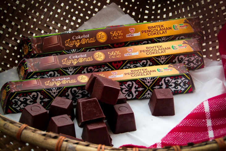 Rumah Cokelat Binaan...