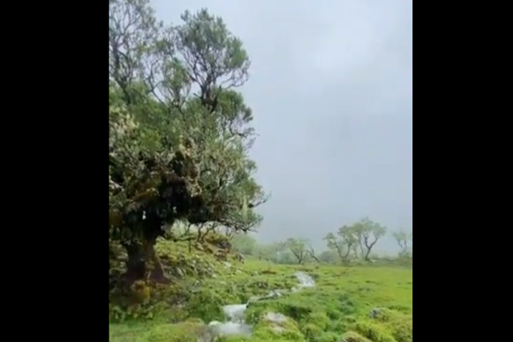 Keindahan Lembah Lohe...