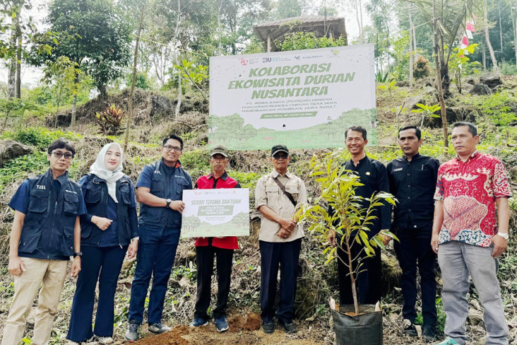 Salurkan 200 Bibit Durian,...