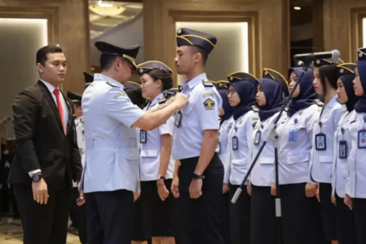 Link Pengumuman Hasil...