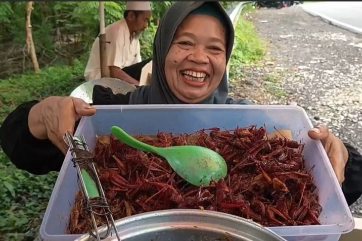 Belalang Goreng di Gunungkidul...