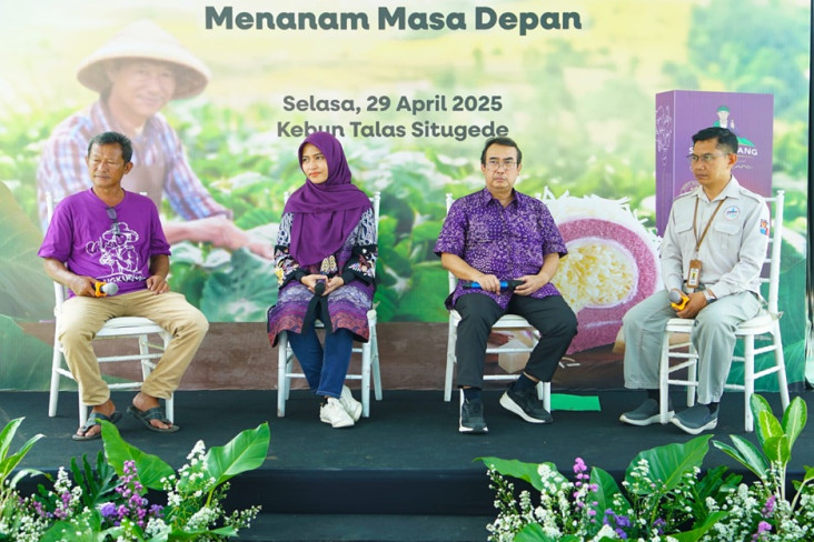 Lapis Bogor & IPB Latih...