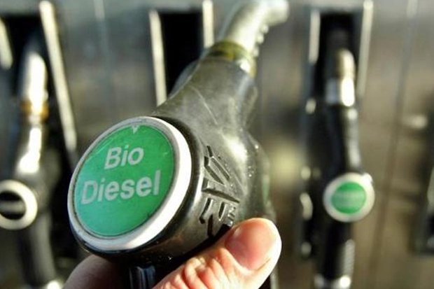 Biodiesel Jadi Alternatif...