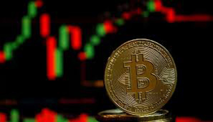 Program Referral Crypto...