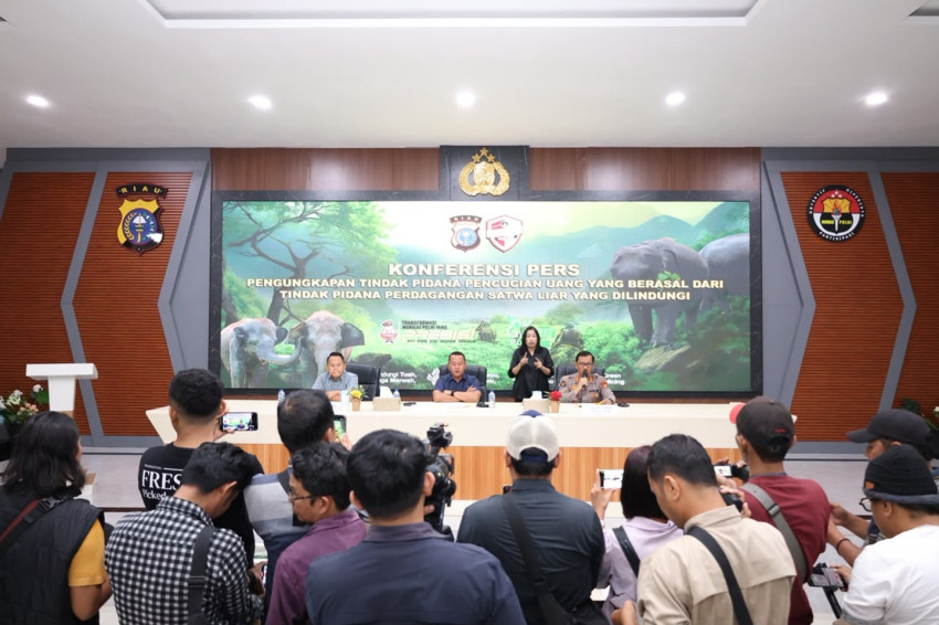 Kembangkan Kasus Gading Gajah, Polda Riau Telusuri Aliran Dana Rp1,8 Miliar