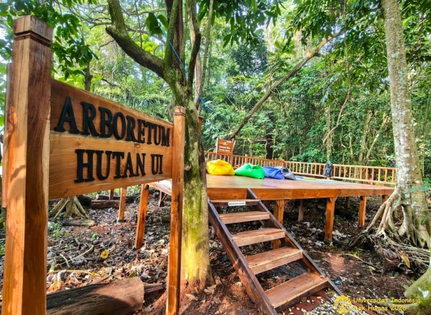 UI Resmikan Arboretum Hutan: Ruang Terbuka Hijau untuk Edukasi dan Relaksasi