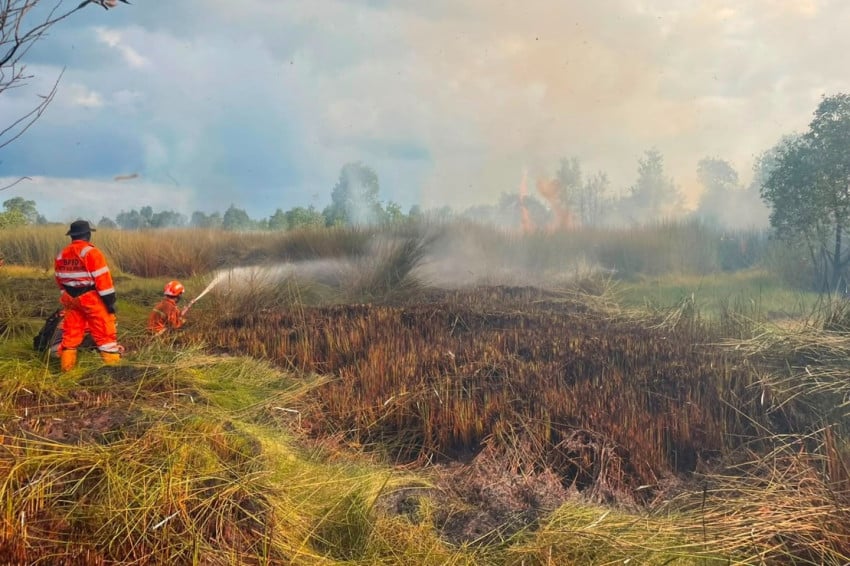 2 Wilayah Dilanda Karhutla, BNPB Catat Banjarbaru Terparah dengan 3,7 Hektare Terbakar