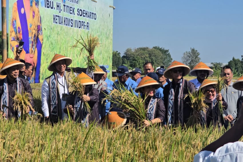BULOG dan Komisi IV DPR Perkuat Sinergi Dukung Kesejahteraan Petani di Klaten