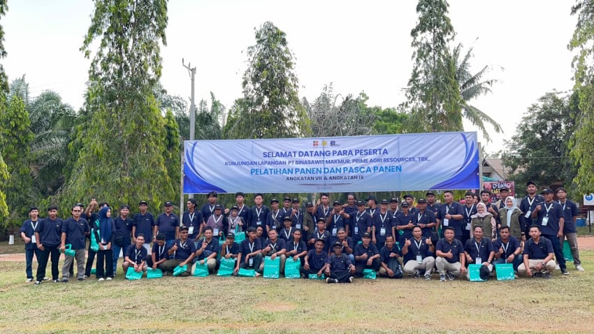 Tingkatkan Nilai Jual TBS, 133 Pekebun Muara Enim Ikuti Pelatihan Panen Sawit