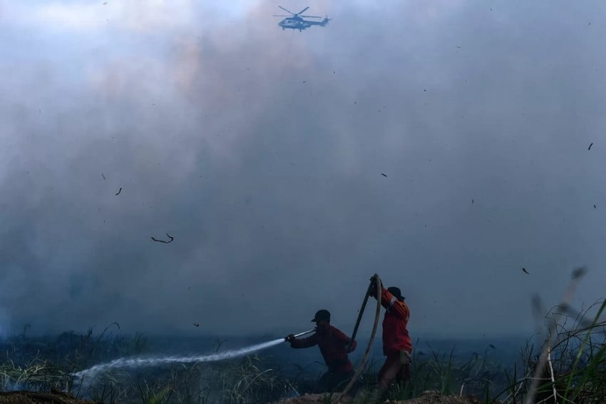 Antisipasi El Nino Godzilla, Perlu Langkah Cepat Cegah Karhutla dengan Kampanye Masif
