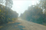 Pengguna Jalan Ruas...