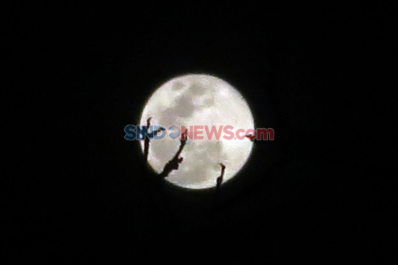 Melihat Fenomena Supermoon...