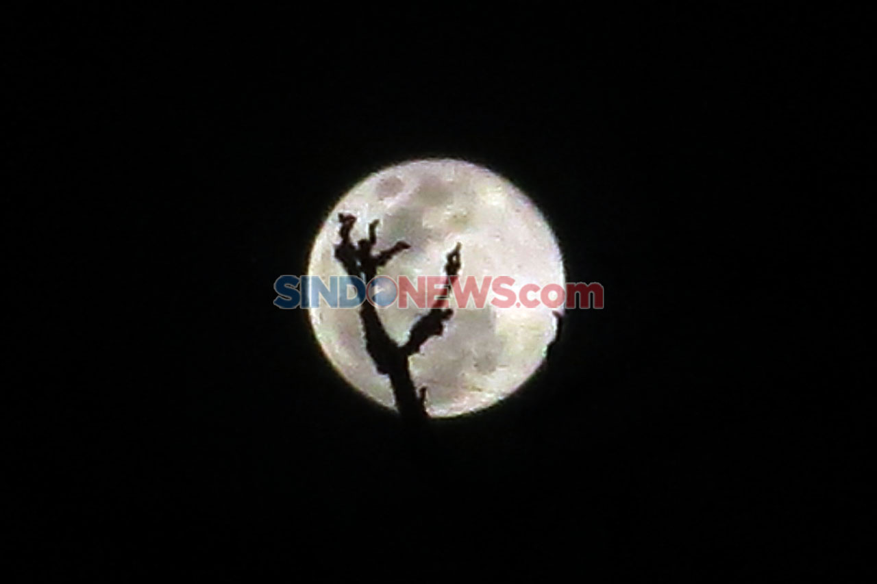 Melihat Fenomena Supermoon...