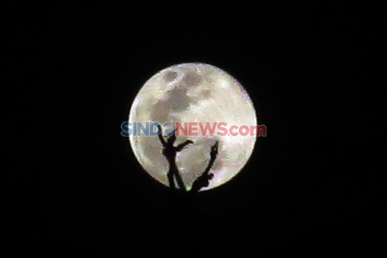 Melihat Fenomena Supermoon...