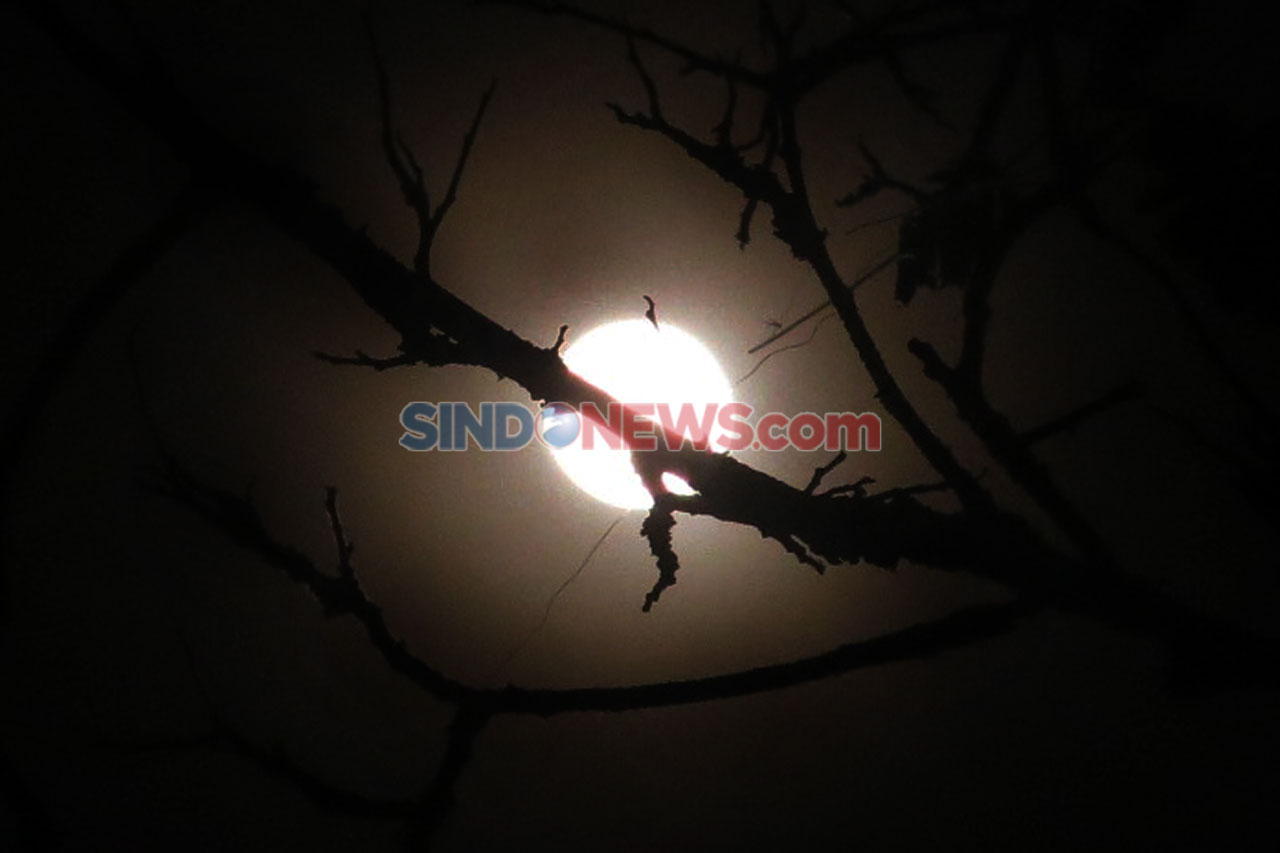Melihat Fenomena Supermoon...