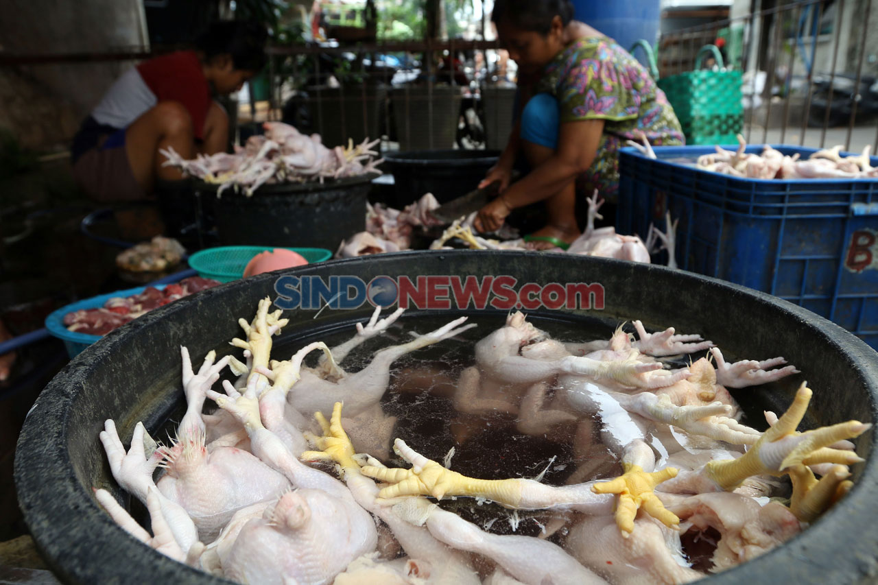 Kenaikan Harga Ayam...
